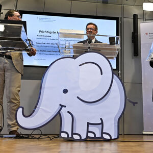 CORONAVIRUS-PRESSEKONFERENZ: 'AKTUELLE LAGE': THALHAMMER / ANSCHOBER / SUCHOMEL