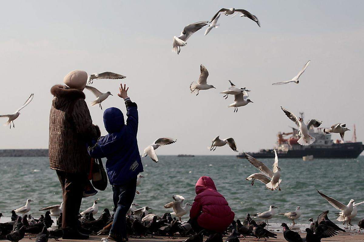 Scheinbare Normalität: Taubenfüttern an der Küste von Sewastopol, dem ukrainischen Heimathafen der russischen Schwarzmeerflotte.