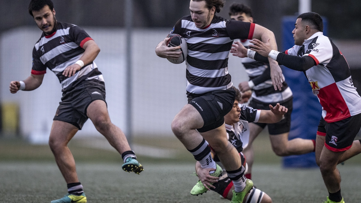 Rugby-In-sterreich-spielen-die-Steinb-cke-premium-