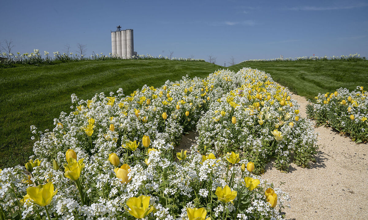 Die langen, parallelen Erdwälle wurden für wechselnde Bepflanzung und für Besucher angelegt. Komplex berechnet und auf den Millimeter umgesetzt.
