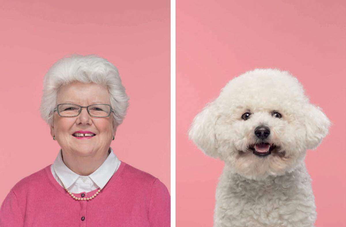 Der Fotograf, der schon Models wie Elle Macpherson und Yasmin Le Bon vor der Kamera hatte, begann 2008 mit der Tierfotografie, nachdem er einen Terrierwelpen namens Baxter kaufte. Weißes Haar und ein Lächeln auf den Lippen: Eine ältere Damen mit ihrem Bichon Frise.  