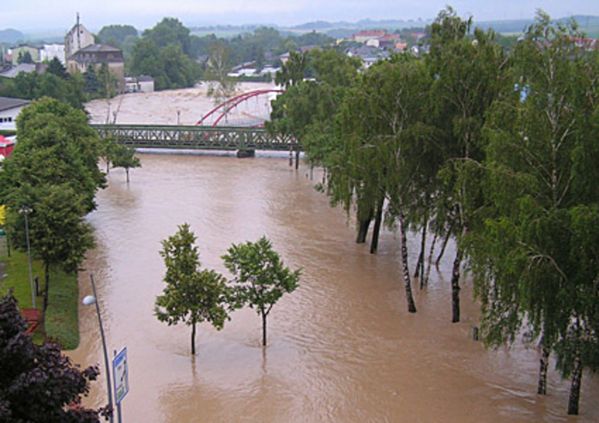 Im Osten Österreichs sind wegen der Wassermassen auch zahlreiche Bahnstrecken teilweise gesperrt. "Die Hauptstrecken sollte es nach derzeitigem Stand nicht treffen", beruhigte ÖBB-Sprecher Thomas Berger.Blick auf die über die Ufer getretene Erlauf in Wieselburg.