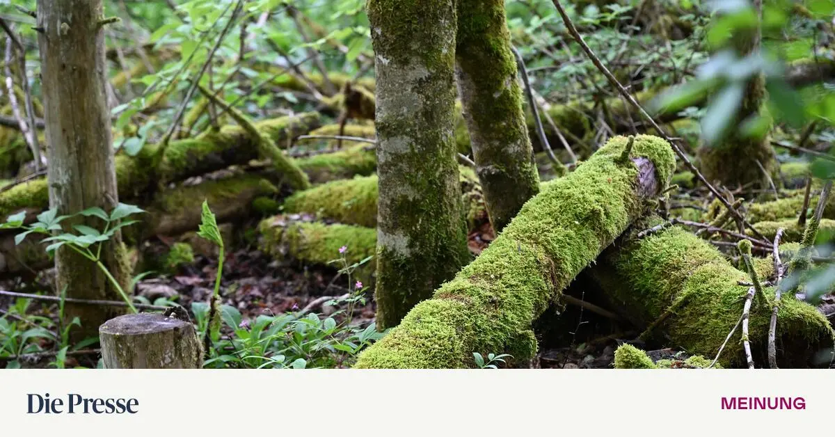 Eine-gute-Zukunft-braucht-Renaturierung-premium-