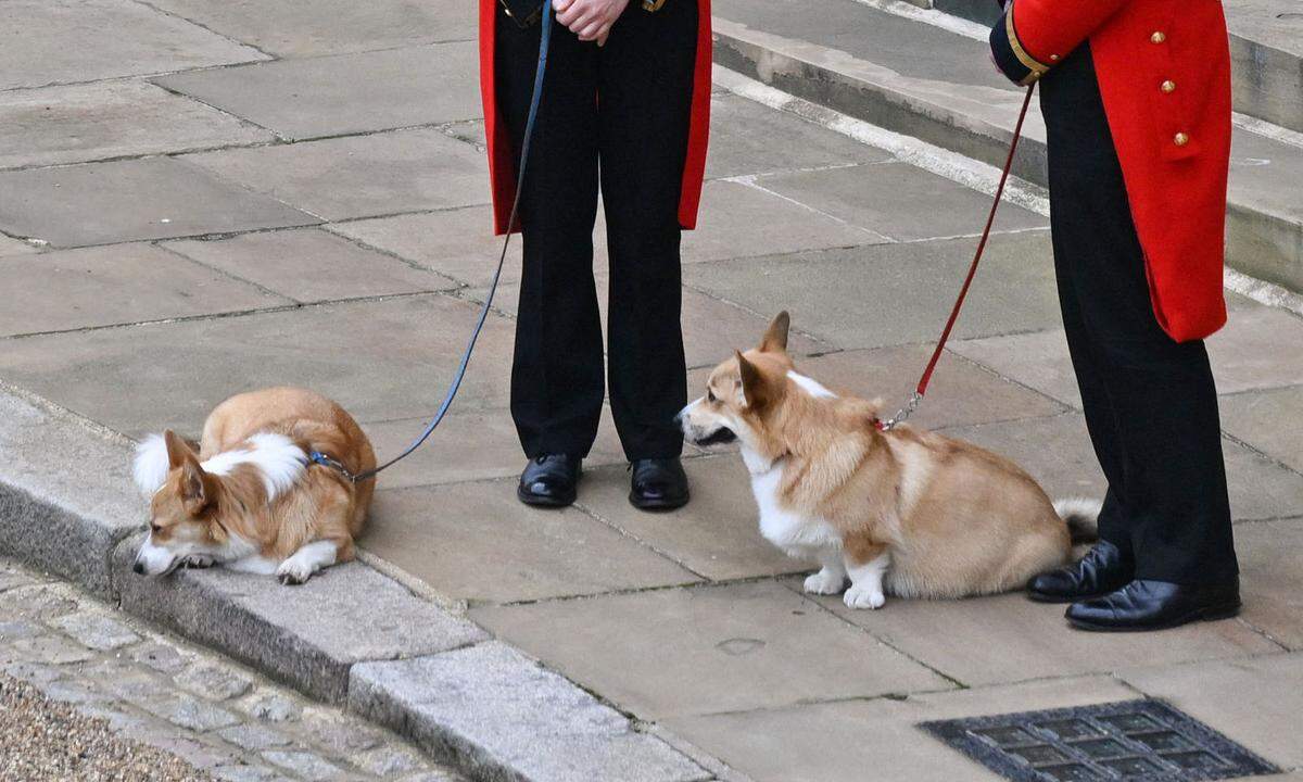 Die Corgis der Königin, Muick und Sandy, wurden ins Schloss Windsor geführt.