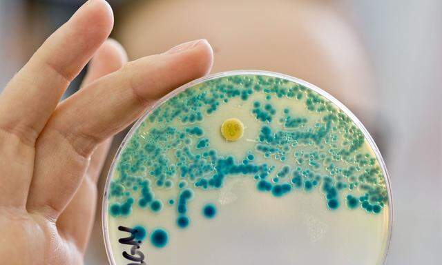 Multiresistente Keime machen die Behandlung mit Antibiotika unmöglich