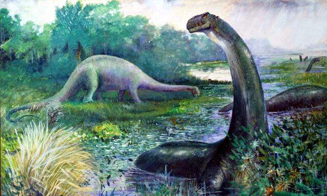 Brontosaurus Illustration von Charles R. Knight
