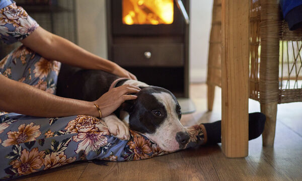 Kuschelpartner zur Steigerung der Laune. 