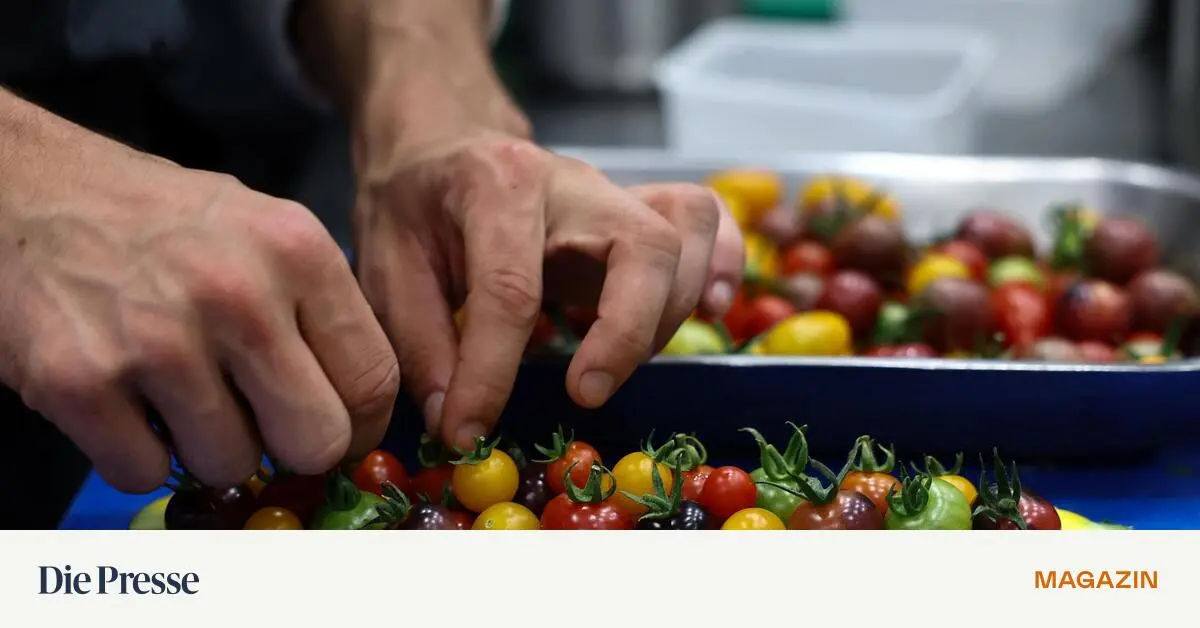 In-diesen-Branchen-verdient-man-in-sterreich-am-meisten-premium-