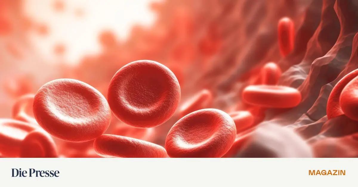 Warum-ist-unser-Blut-rot-premium-