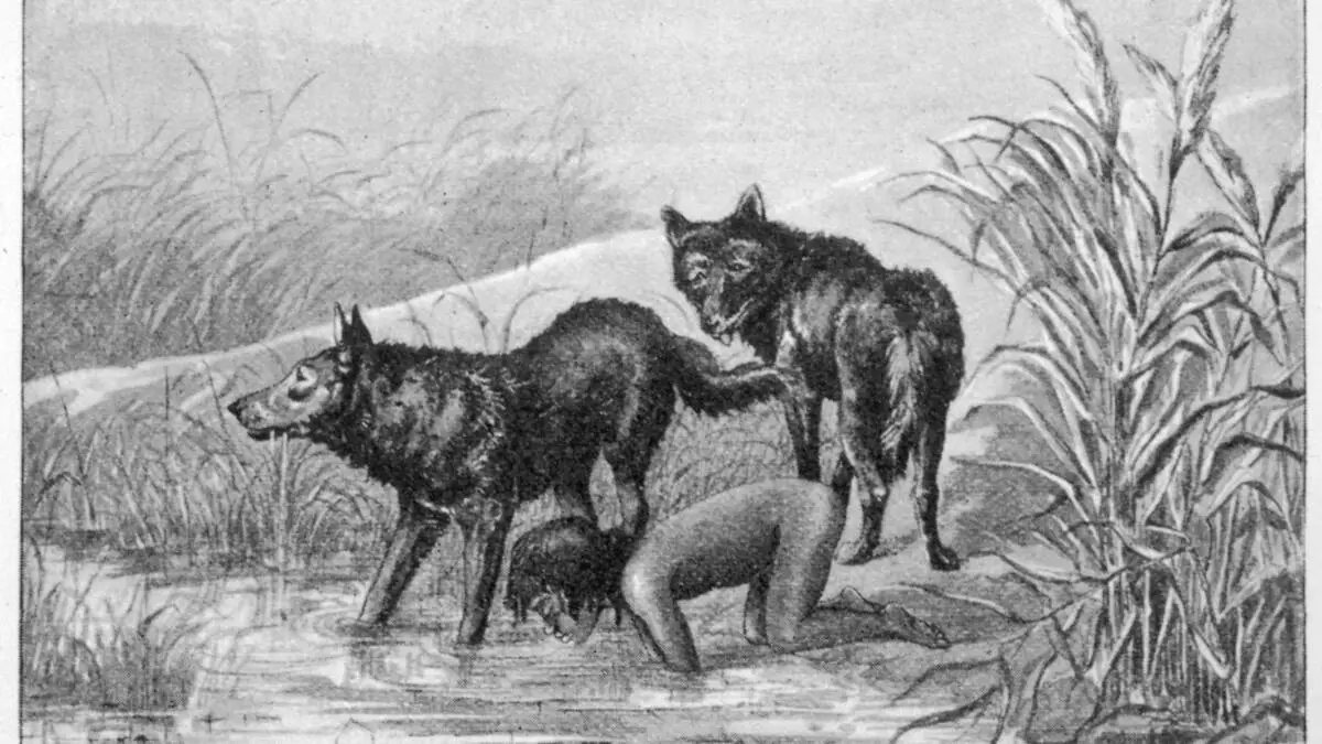-Wolfskinder-Die-Geschichte-hinter-dem-Mythos-vom-Menschen-der-von-Tieren-aufgezogen-wird-premium-