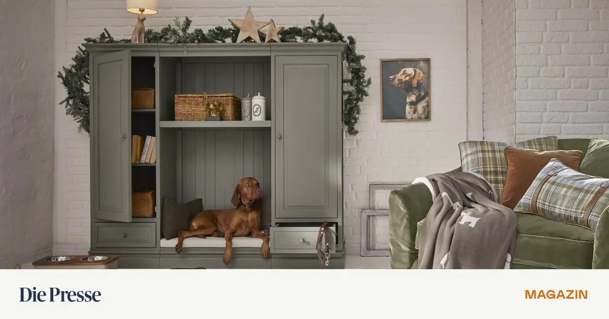 luxusm-bel-f-r-hund-katze-und-designaffine-premium