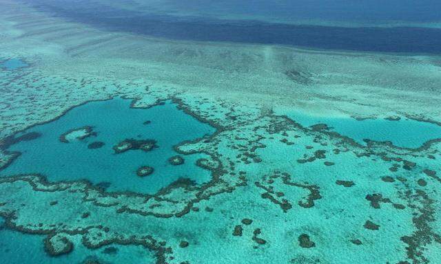 Das Great Barrier Reef vor der Ostküste Australiens dehnt sich über mehr als 344.000 Quadratkilometer aus und ist damit größer als Italien. 
