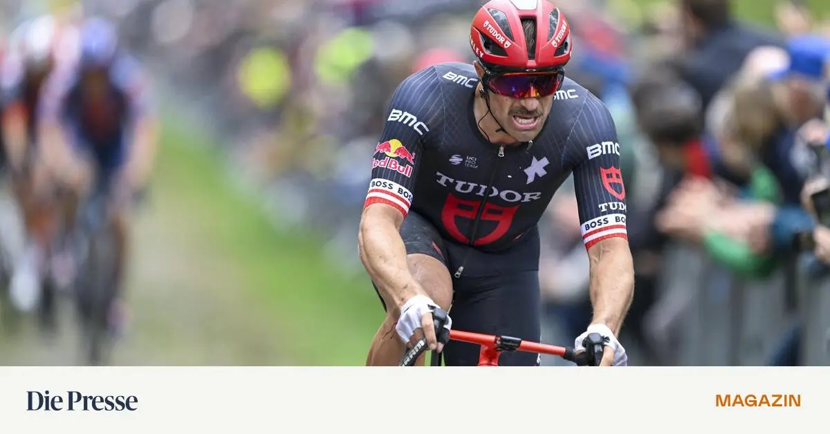 Paris-Roubaix-Rund-um-Wien-findest-du-schon-die-ein-oder-andere-Weinstra-e-wo-es-hnlich-aussieht-premium-