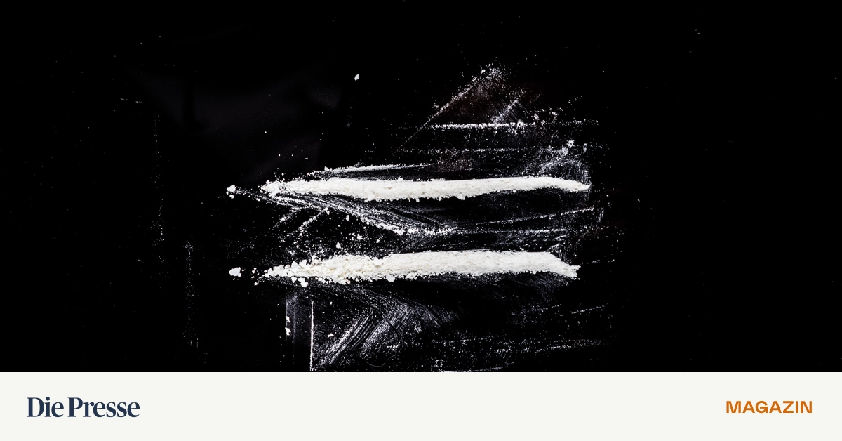 Hilft-Christopher-Seilers-Kokain-Beichte-Der-juristische-Plan-ist-mir-nicht-klar-premium-