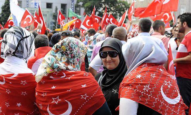 Pro-Erdogan-Demo in Wien