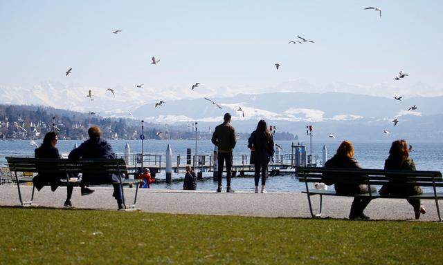 Teile des Zürichsees sind für die Öffentlichkeit gut ausgebaut, andere wiederum besitzen private Zugänge zum begehrten Uferbereich.