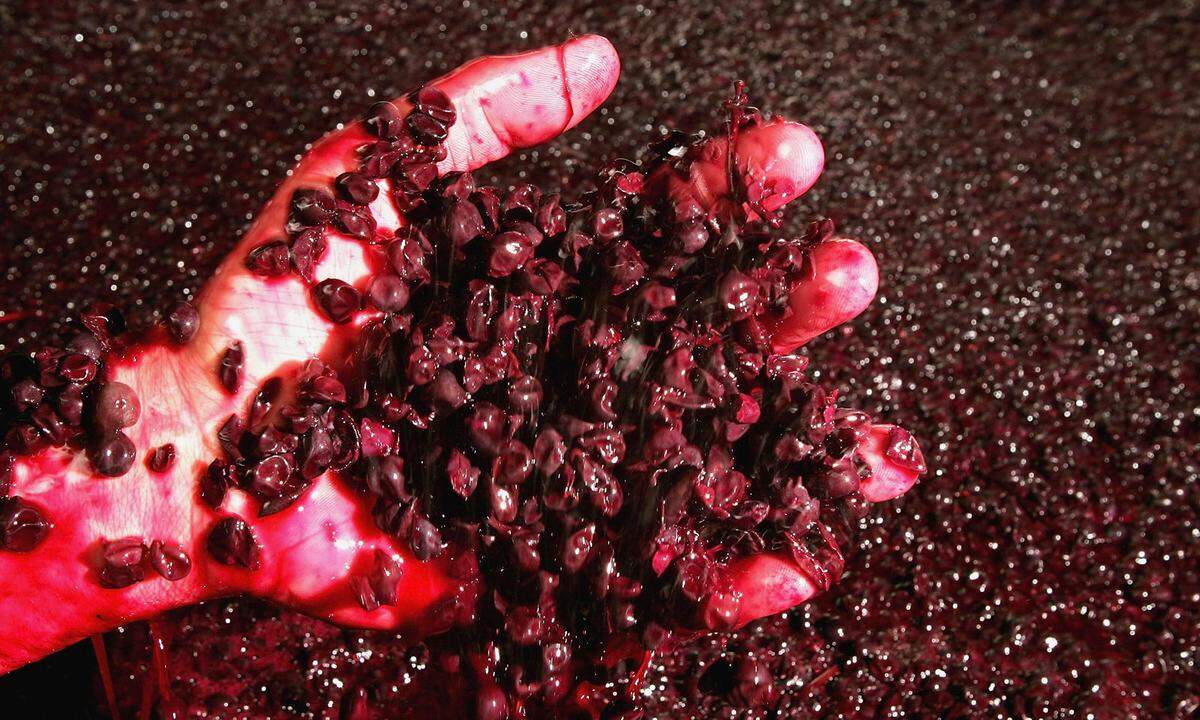 Zum Abschluss noch eine hochprozentige Idee. Fettige Haut kann man mit Rotwein, trockene Haut mit Weißwein betupfen und beruhigen. Maische hat man zwar nicht all zu oft bei der Hand, sie eignet sich aber gut als Maske bei unreiner Haut.