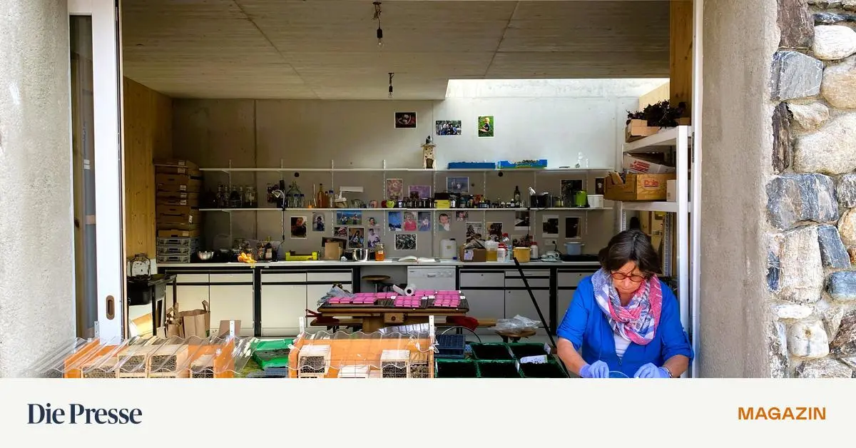 Wildwuchs-trifft-Wissenschaft-Schroeders-Leierhof-auf-der-Postalm-premium-