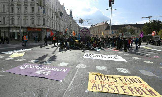 Die NGOs fordern politisches Handeln ein - wie die Klimaaktivisten auf den Straßen. 