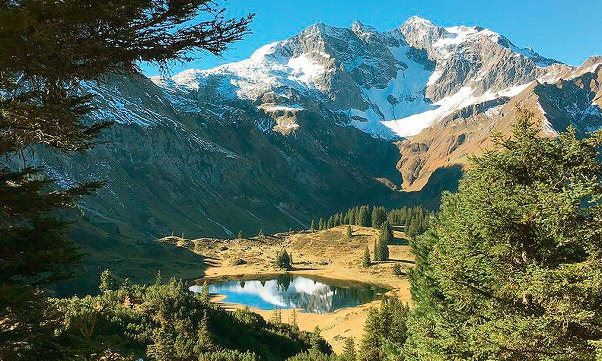 Nicht zu heiß, nicht zu kalt, die Gipfel noch mit der weißen Pracht angezuckert, das Grün noch frisch: Der Frühsommer ist die ideale Zeit zum Wandern. Zum Beispiel im Bregenzerwald, wo man nicht Höhenmeter schinden muss, um Naturschönheiten zu entdecken. Dreiländer-Blicke genießt man etwa auf dem Weg von Alberschwende auf den 1182 Meter hohen Brüggelekopf oder auf den Hausberg von Andelsbuch, die „Niedere“. In Bizau beginnt eine malerische Rundwanderung mit zwei Einkehrstationen, am Wasser der Bregenzer Ache entlang geht es zwischen Doren und Egg, und über die grüne Grenze stiefelt man zum Beispiel am Hochhäderich bei Hittisau und Riefensberg. Vom Bödele, einem Hochmoor, gelangt man gemütlich aufs Hochälpele (1463 m). Im Bizauer Moos kann man auf einem Barfußweg sein Geläuf erfrischen, und auf dem Naturerlebnispfad „Grenzerpfad“ kommt man zu einem Wildrosenmoos.  www.bregenzerwald.at