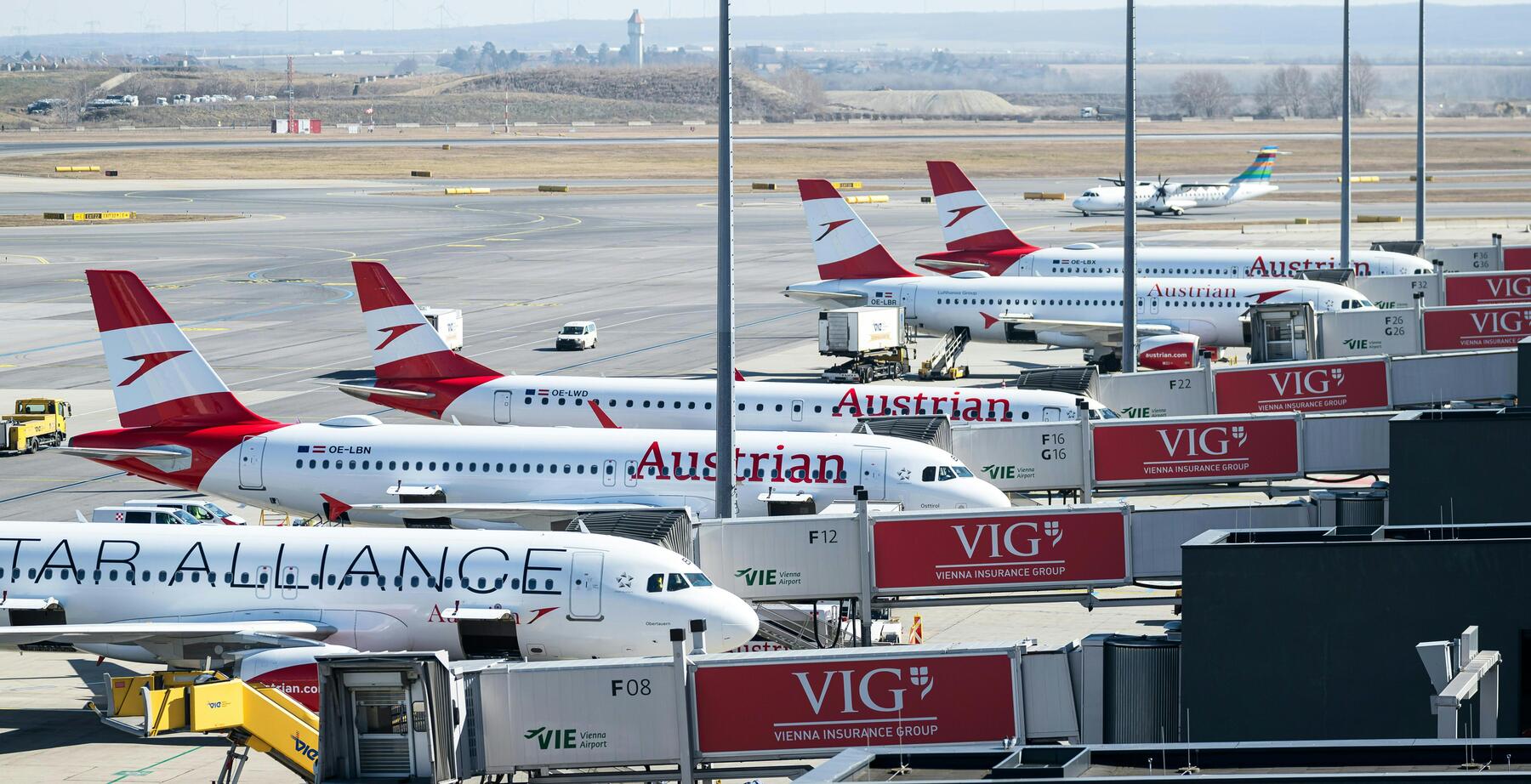 Flughafen Wien verzeichnet im März Passagierrückgang aus Nahost um 90 Prozent