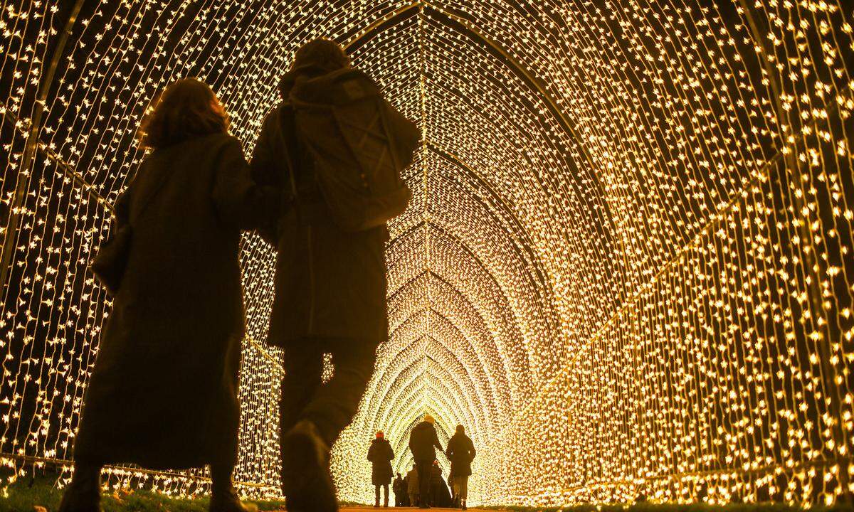 Am 25. November wurde die Weihnachtssaison im Royal Botanic Garden im schottischen Edinburgh eröffnet, auch hier erstrahlt ein Lichterbogen.