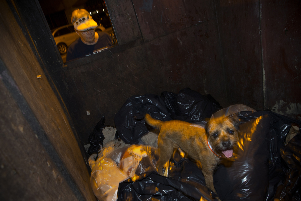 R.A.T.S. steht für die Ryders Alley Trencher-fed Society, benannt nach einer Straße im südlichen Manhattan, die besonders für ihren Ratten-Reichtum berühmt ist. "Trencher-fed" ist ein Ausdruck auf dem 19. Jahrhundert für eine Holzschüssel, aus der Jagdhunde tranken. Der Begriff wird aber auch für eine Gruppe von Jagdhunden, die mir ihren Besitzern zum Zwecke der Jagd zusammenleben.