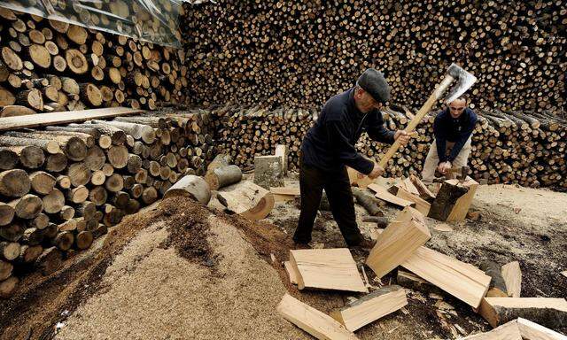 Das Idyll trügt. Holz verschwindet auf dem Balkan nicht nur für den Eigenverbrauch aus den Wäldern. 