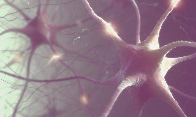 Neuronen im Gehirn (Symbolbild).