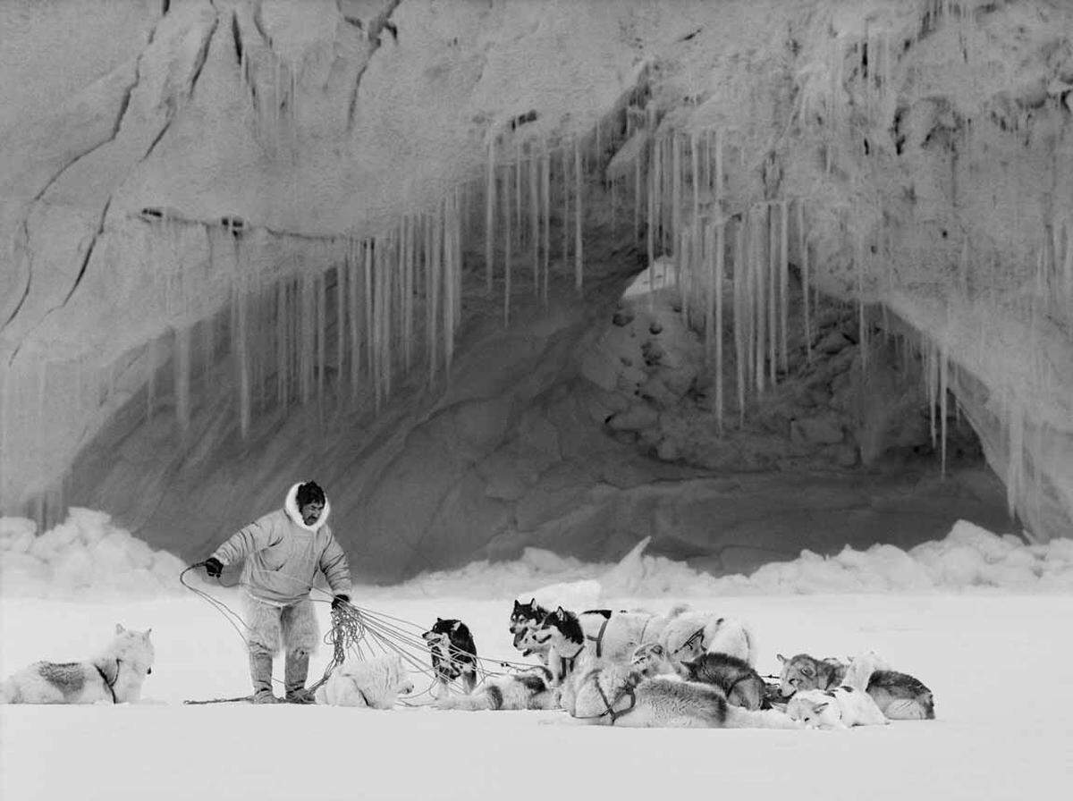 Mikide Kristiansen ist einer der großen Jäger von Qaanaaq.Das Jagen steckt ihm im Blut, sein Vater Masauna nahm ihnbereits mit aufs Eis, als er noch ein kleiner Junge war. Qaanaaq, Grönland.