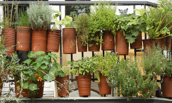 Wer einen kleinen „Selbstversorgerbalkon“ für sich persönlich einrichten möchte, sollte sich zunächst mit den gesetzlichen Regelungen befassen (Symbolbild).