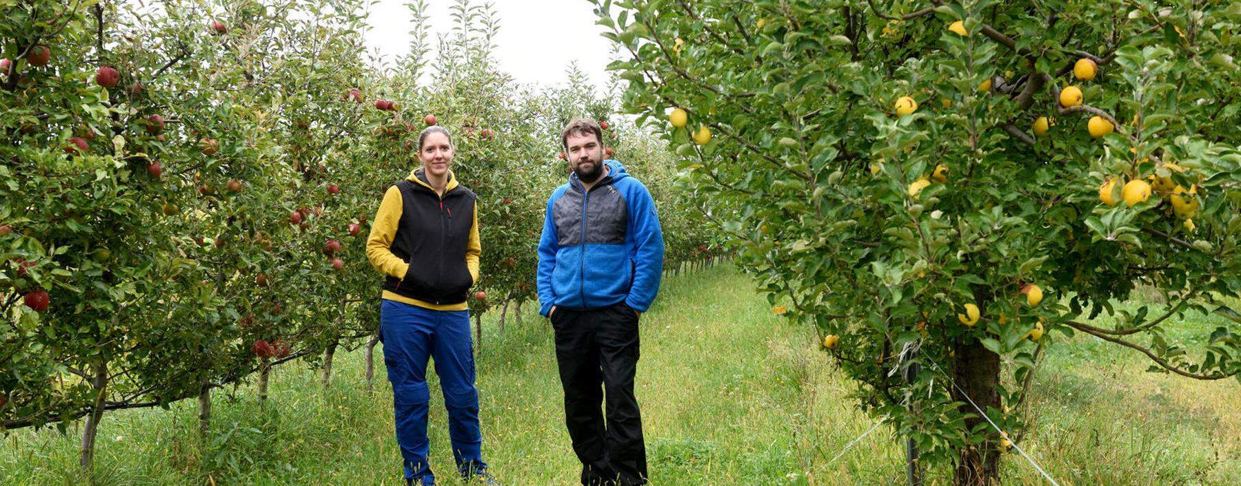 Eva und Matthias Eichberger bewirtschaften im Mittelburgenland zwei Hektar Weingärten und einen Hektar Obstanlagen. Sie machen daraus Säfte und Cider.