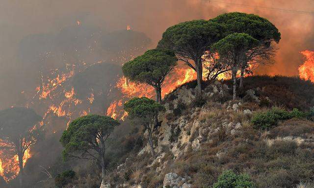 Ein Archivbild von Mitte Juli, als heftige Brände auf Sizilen rund um die Stadt Messina wüteten.