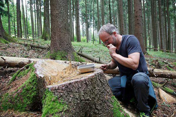 Dabei nimmt er nicht nur Kräuter und Pilze mit, sondern auch Rinde.