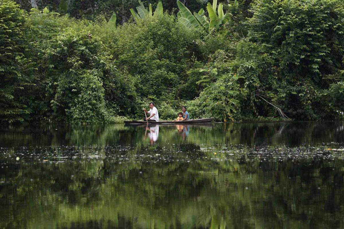 Den Dschungel in seiner ganzen Vielfalt kann man beim Wandern im Amazonas und anschließendem Kayak fahren erfahren. Was kann es für einen Naturliebhaber Schöneres geben?