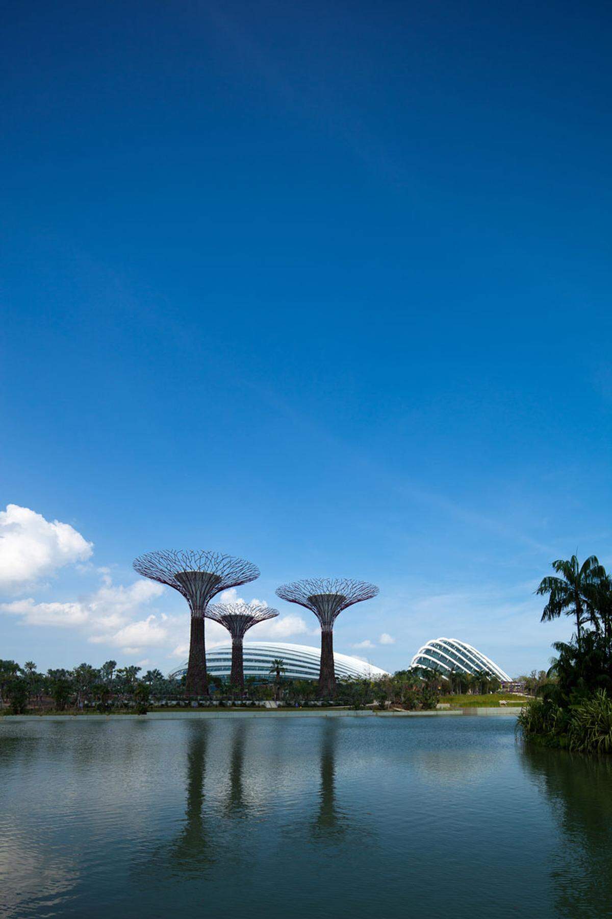 Special Jury Award: Gardens by the Bay, Architekt: Grant Associates and Wilkinson Eyre Architects, Developer: National Parks Board Singapore