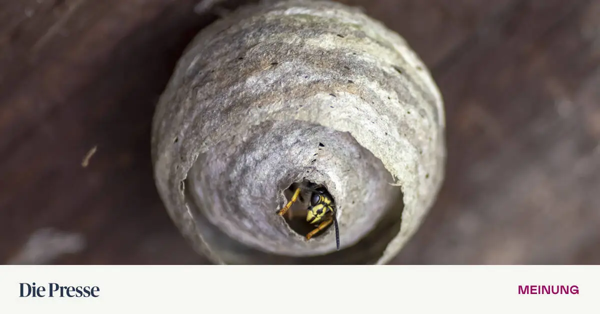 15-000-Euro-im-Krankenstand-Lieber-nicht-premium-