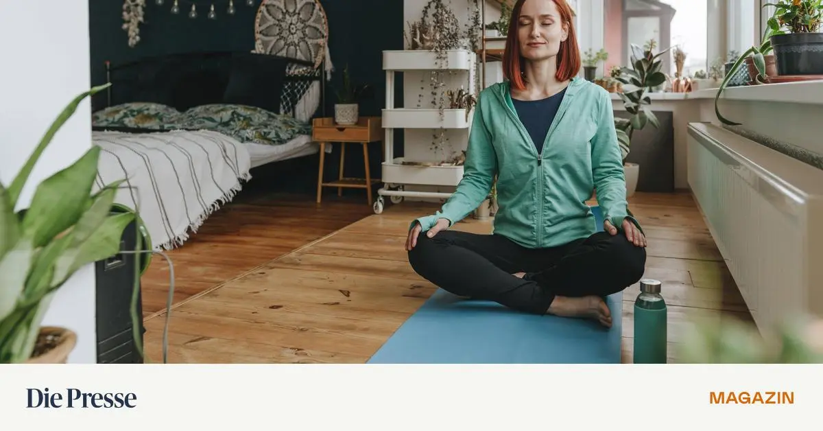 An-Neujahrsvors-tzen-mit-Hilfe-von-Apps-dranbleiben-premium-