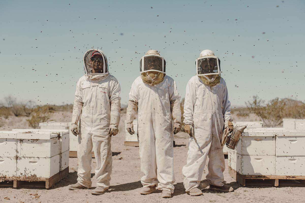 Alfredo, Ubaldo, and José heißen die Männer in Jonas Kakós Bild. Sie bringen in Arizona Bienen Wasser, denn der nahe Colorado River ist aufgrund von Regenmangel und weil flussaufwärts Wasser abgezweigt wird, so gut wie ausgetrocknet. 