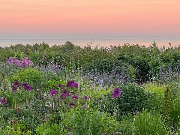 Einen Award für ihren ganzjährig hübschen Garten im südnorwegischen Justøy bekam Mariann Gundersen. Es ist eine naturnahe, nachhaltige Gestaltung, von der Bestäuber, Wildtiere und Menschen gleichermaßen profitieren.