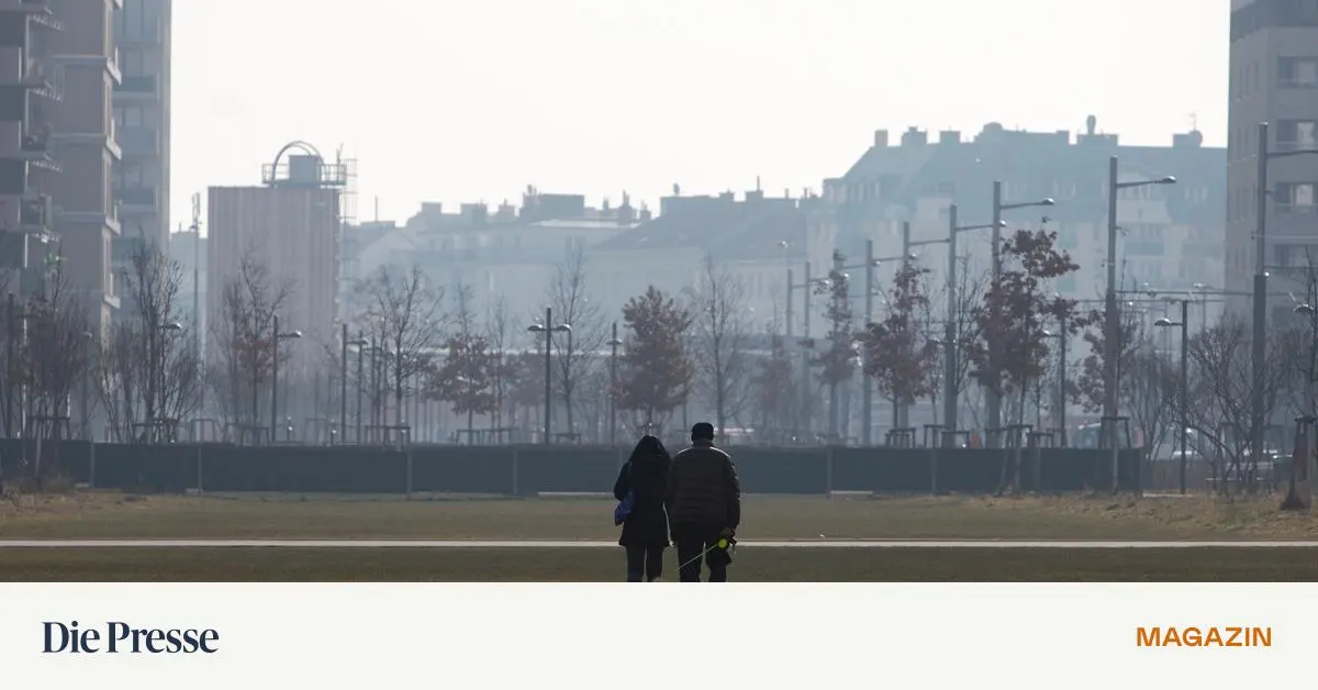 50-000-Normen-gegen-kreatives-Bauen-Wie-Vorschriften-in-sterreich-die-Architektur-ersticken-premium-