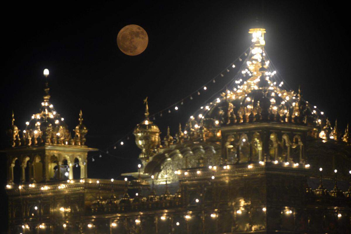 Der Goldene Tempel in Amritsar, Indien.