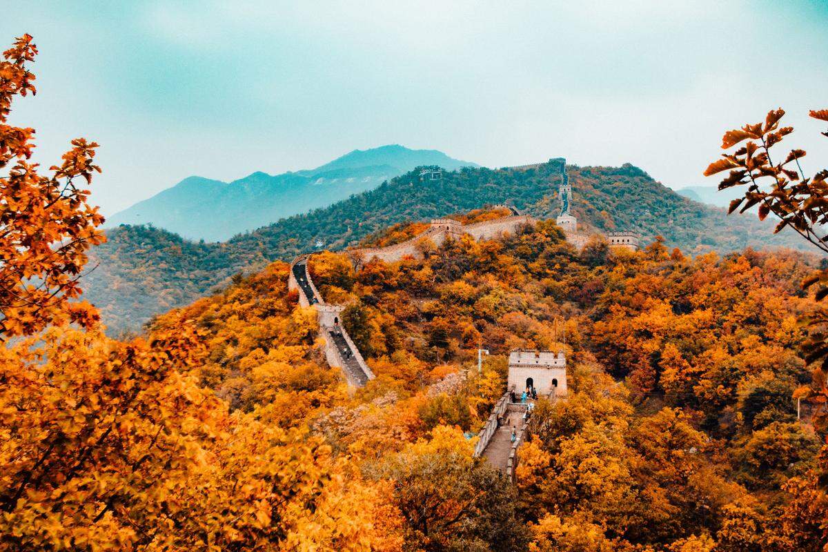 Schöne Herbstwälder findet man auch entlang der chinesischen Mauer in China. Sie ist 21.196,18 Kilometer lang und von dichten Laubwäldern umgeben, die sich im Herbst verfärben.