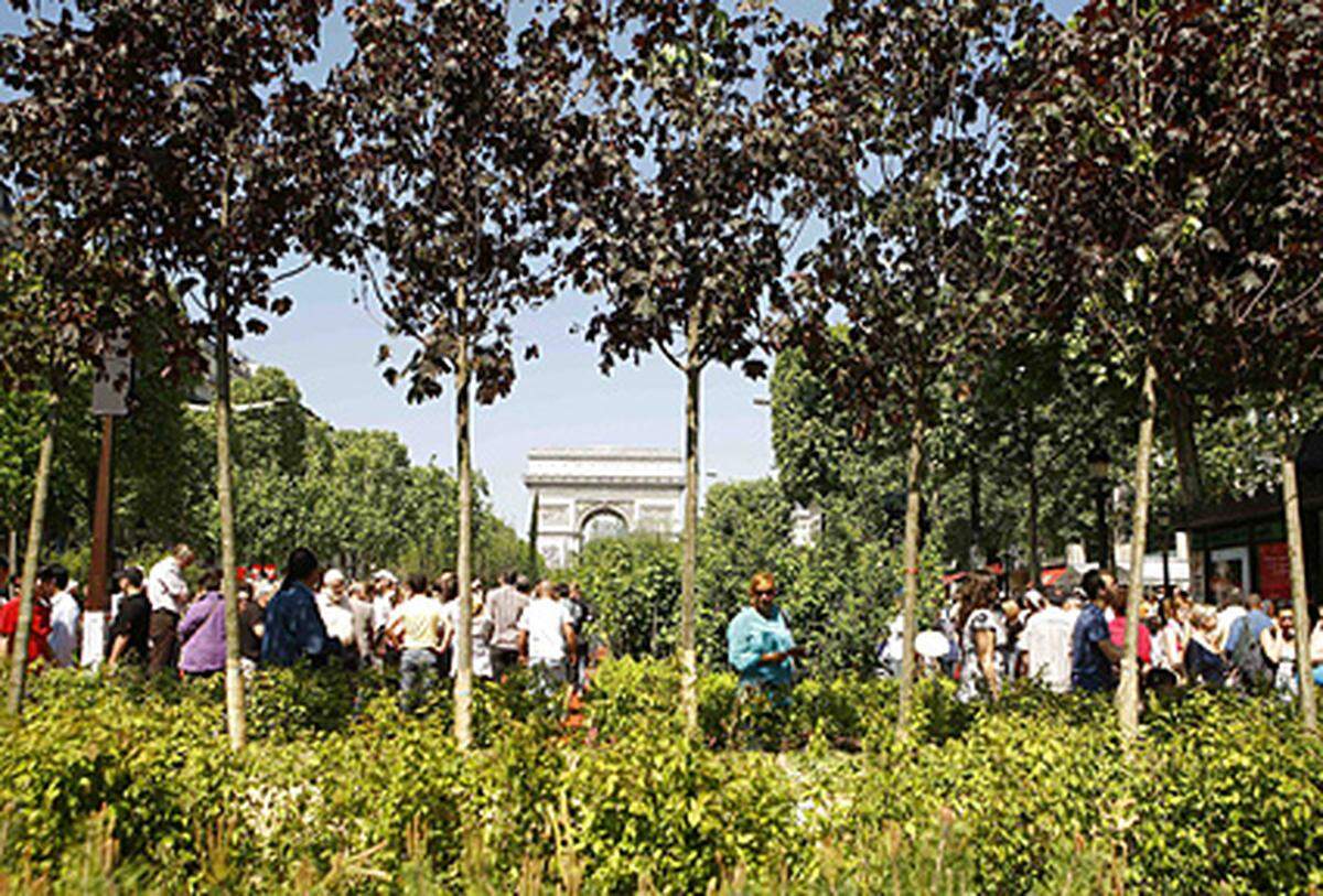 ... 8000 Parzellen mit 150 Pflanzen-, Baum- und Blumenarten aus ganz Frankreich.