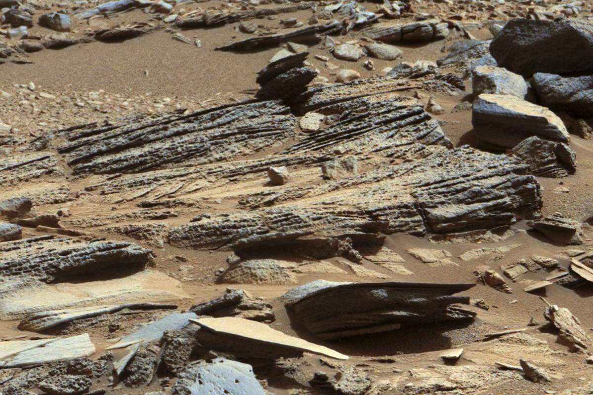 Nach den ersten Erfolgen der Marsmission "Curiosity" will die Nasa im Jahr 2020 den nächsten Rover zum Roten Planeten schicken. "Mit dieser Mission stellen wir sicher, dass Amerika die weltweit führende Nation bei der Erforschung des Mars bleibt", erklärte Nasa-Chef Charles Bolden im Dezember 2012. "Curiosity" soll außerdem länger als die geplanten zwei Jahre auf dem Mars im Einsatz sein.