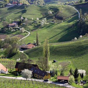 Lebensraum Sulztal an der Weinstraße: kleine Strukturen, Vielfalt und ein intaktes Neben- und Miteinander – noch . . .