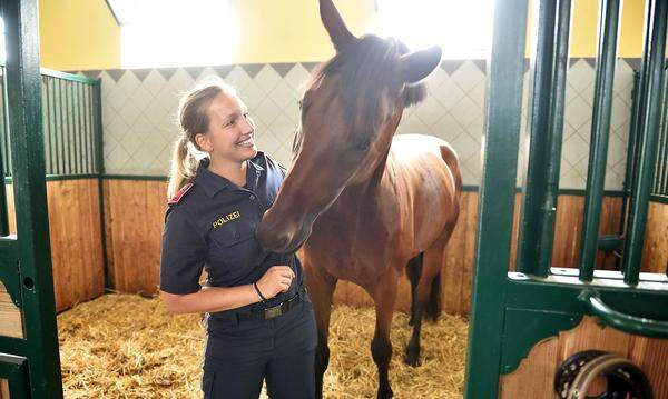 Dorian war das erste Pferd im Stall. Er war der Einzige, der den Ausschreibungskriterien des Innenministeriums genügte. Captain Morgan wurde erst später angekauft, die zwei anderen Pferde waren ein Geschenk von Ungarns Premier Victor Orbán. Bis zu sechs weitere Pferde werden noch gesucht.