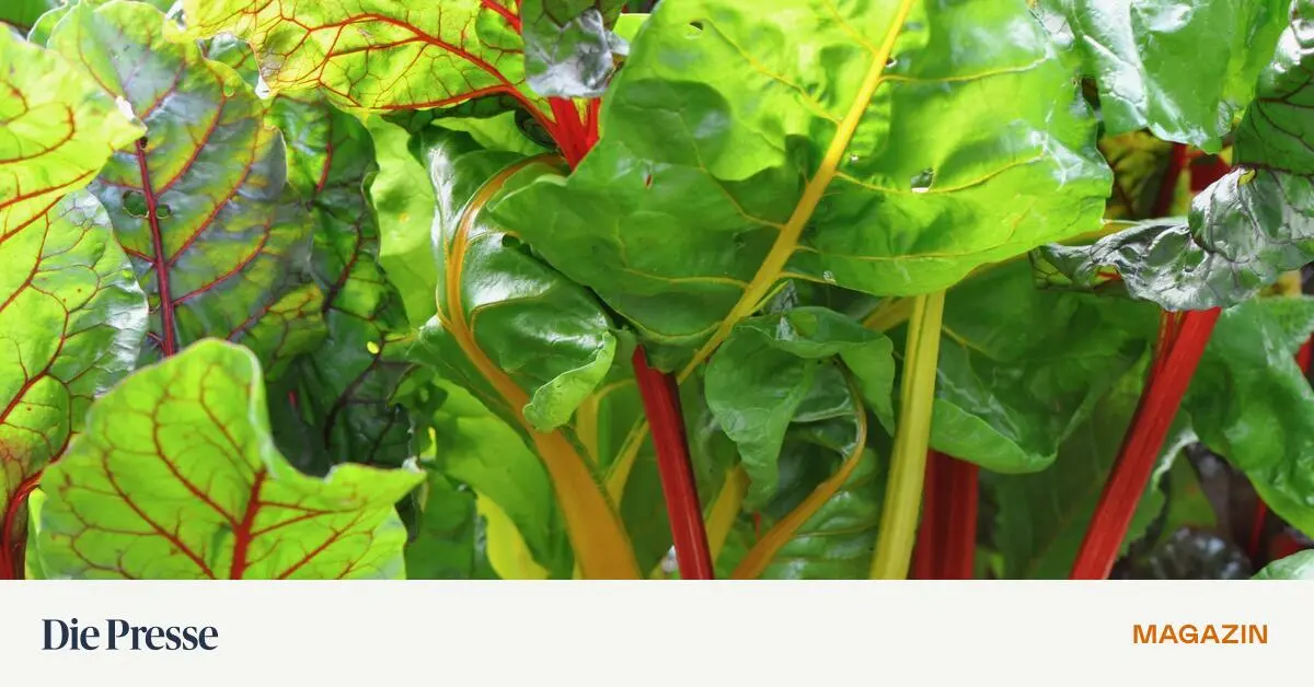 Der-Dank-geht-an-die-Biobauern-premium-