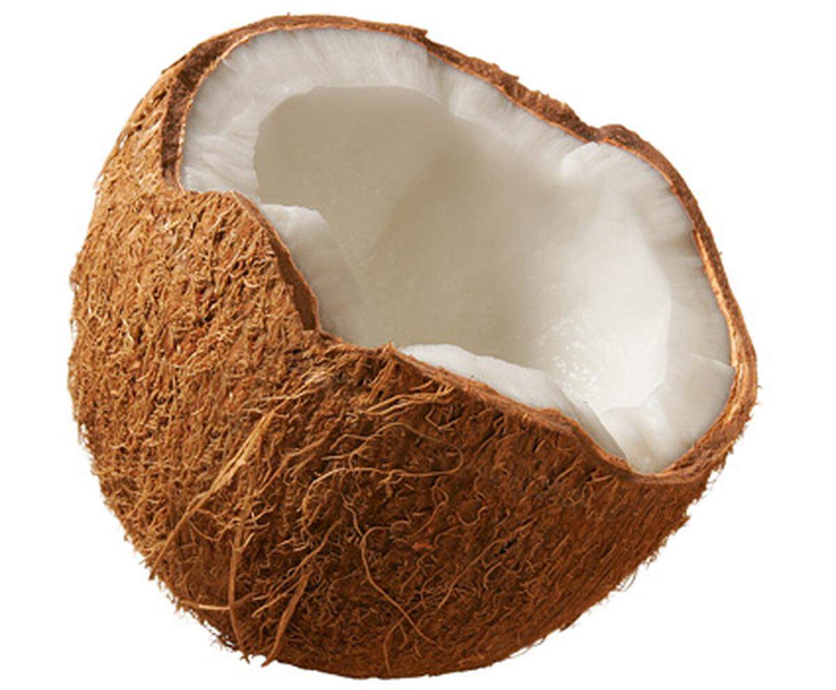 Kein Tier – aber doch eine Gefahr der Natur: Herunterfallende Kokosnüsse töten etwa 150 Menschen pro Jahr.