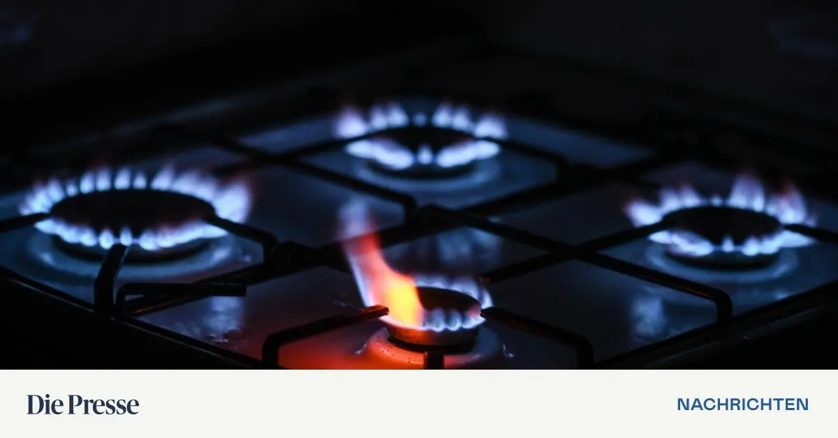 Europ-ischer-Gaspreis-setzt-H-henflug-fort